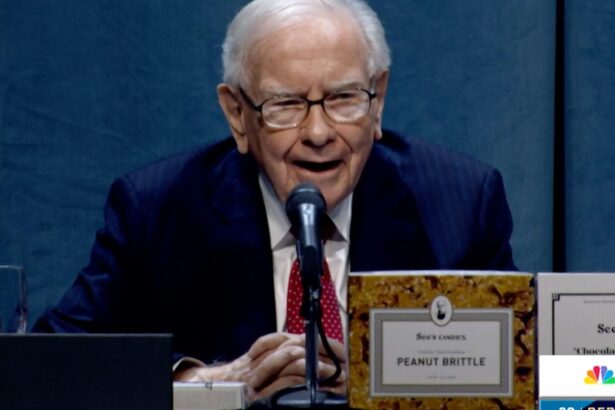 Warren Buffett calls Trump’s tariffs a tax on goods, says ‘the Tooth Fairy doesn’t pay ’em’