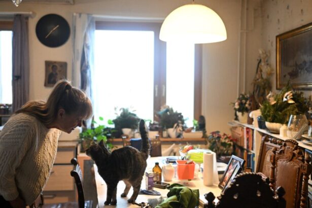 What we do and don’t know about H5N1 spread in cats