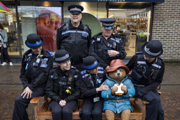 Judge Reprimands Thieves in Bear Statue Heist: ‘Your Actions Were the Antithesis of Everything Paddington Stands For’