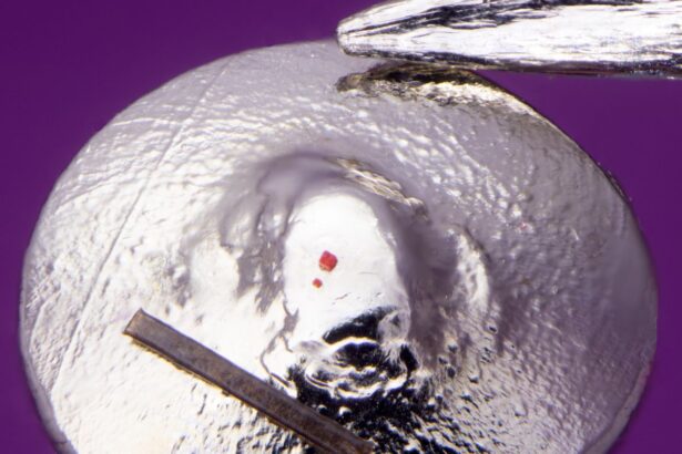 This Lego Brick Is About the Size of a Human White Blood Cell. It Just Became the World’s Smallest Sculpture