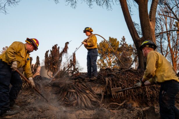 ‘It’s all been scrapped’: Bootcamps for women in wildland firefighting canceled after DEI cuts