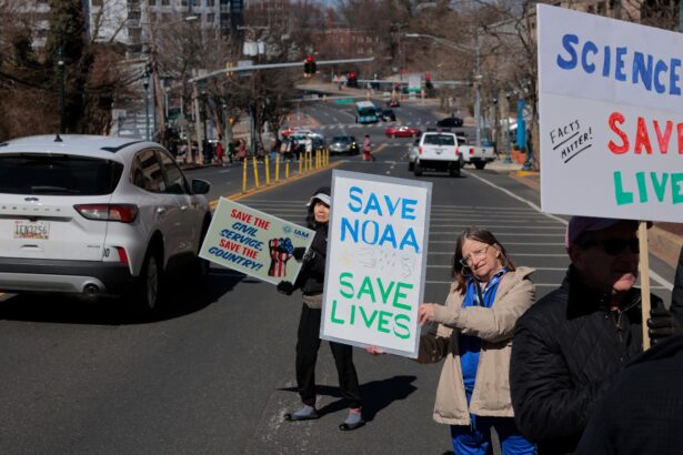 ‘We’re losing our environmental history’: The future of government information under Trump