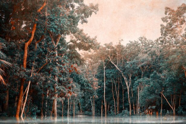 10 Artists Bringing Otherworldly Exuberance to The Other Art Fair Dallas — Colossal