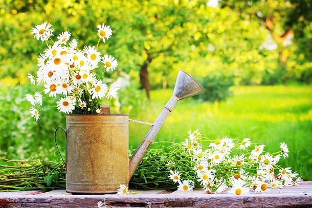110 Inspirational June Quotes for a Positive, Fun and Happy Summer Month