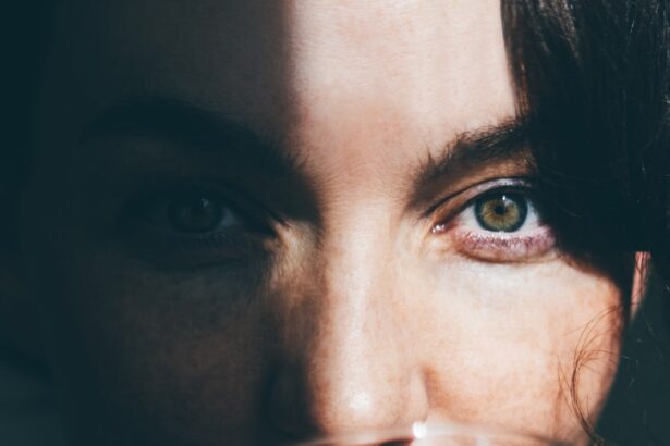 The Best Protein Shakes to Up Your Daily Intake, According to Nutritionists