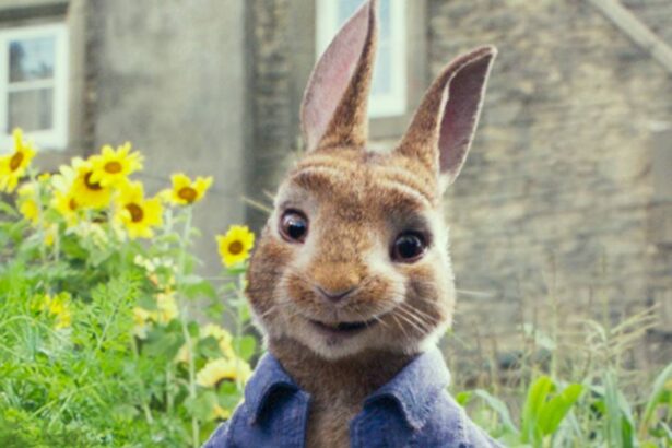 3 Great Netflix Movies to Watch This Easter Weekend