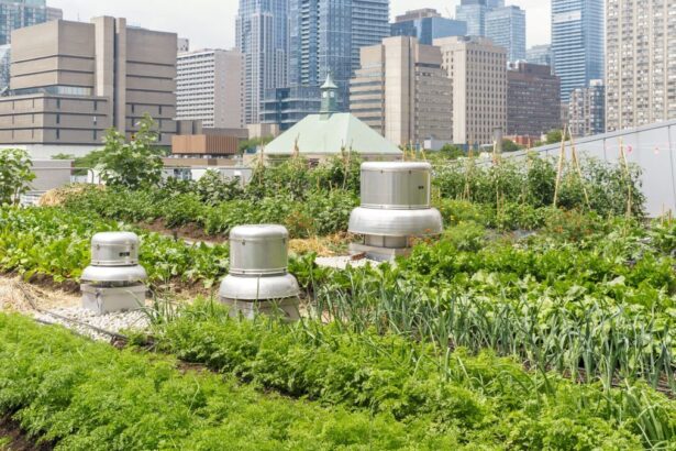 3 Ways Urban Vegetable Gardens Make City Living Healthier