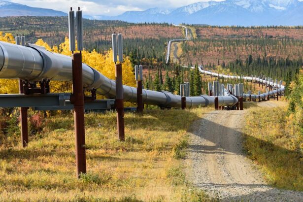 4 Pipeline Stocks to Buy With ,000 and Hold Forever