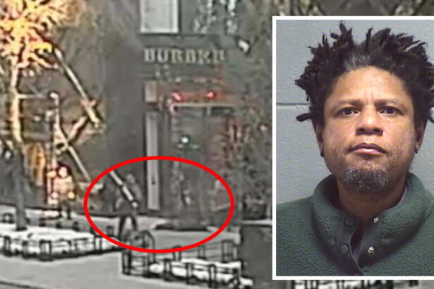 5 years for man who attacked flight attendant with a log, leaving her horribly wounded on the Mag Mile