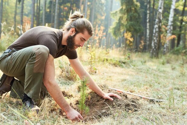 7 Easy Ways To Plant a Tree Where It’s Needed Most