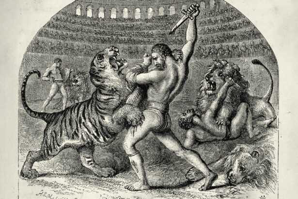 A lion’s bite marks a fatal fight with a possible Roman-era gladiator