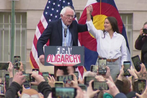 AOC Mocked for Affecting Strange Accent While Addressing Crowd: ‘The Kamala Playbook’ (VIDEO) |