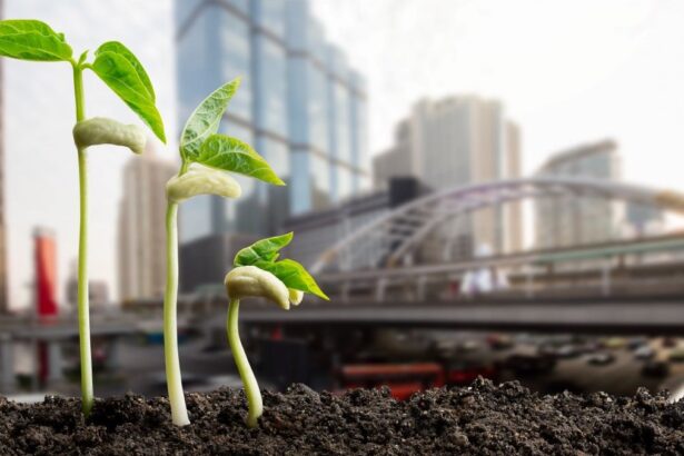 Adapting to Climate Change: The 2025 Update