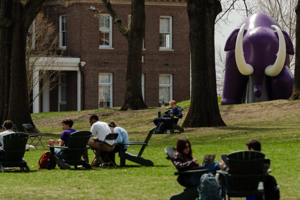After Black Enrollment Fell, Amherst College Faces an Identity Crisis