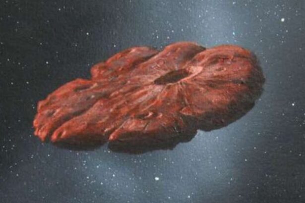 Agencies Are Making Plans to Catch Rocks From Other Solar Systems : ScienceAlert