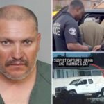Alleged ‘serial cat killer’ caught in California: cops