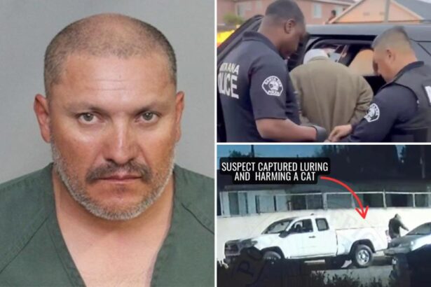 Alleged ‘serial cat killer’ caught in California: cops
