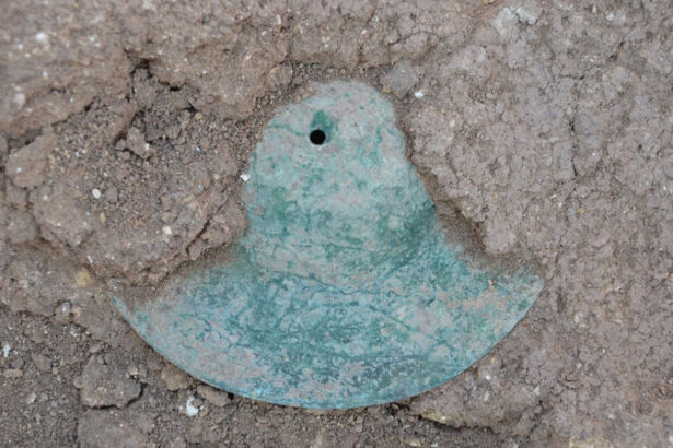 Ancient Arabian cymbals ring up Bronze Age musical connections