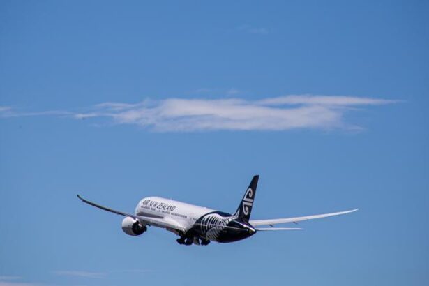 Angry dad: ‘Cheaper to go to States than Wellington’