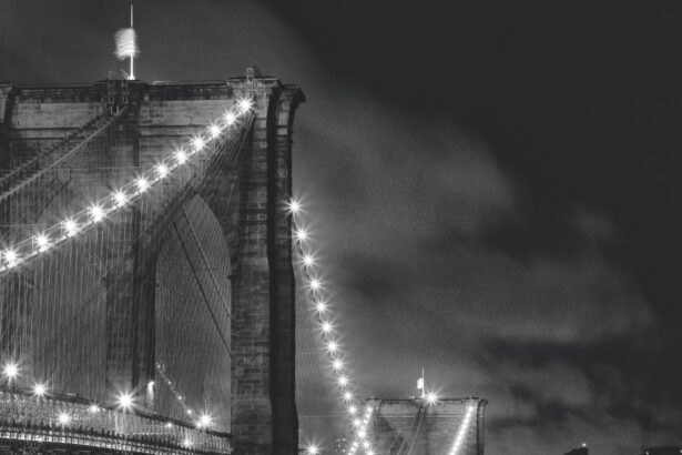 Barbara Mensch Tells the Epic Story of the Brooklyn Bridge
