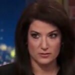 Batya Ungar-Sargon Slams Dems for Continually Invoking the Nazis Over Trump: ‘A Big Part of Why They Have Lost’ (VIDEO) |