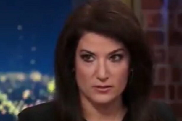 Batya Ungar-Sargon Slams Dems for Continually Invoking the Nazis Over Trump: ‘A Big Part of Why They Have Lost’ (VIDEO) |