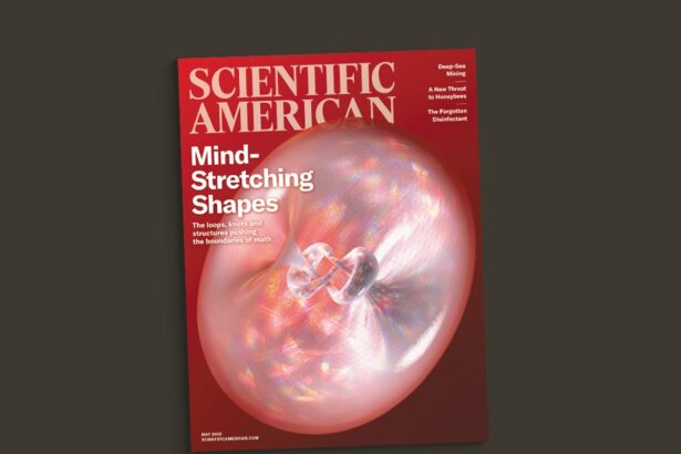 Beautiful Shapes, a Magic Molecule and Elephant Bromances