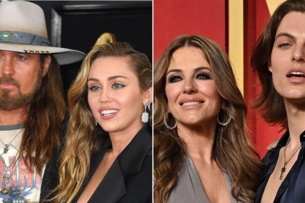 Billy Ray Cyrus And Elizabeth Hurley Have No Plans To “Unite Families’