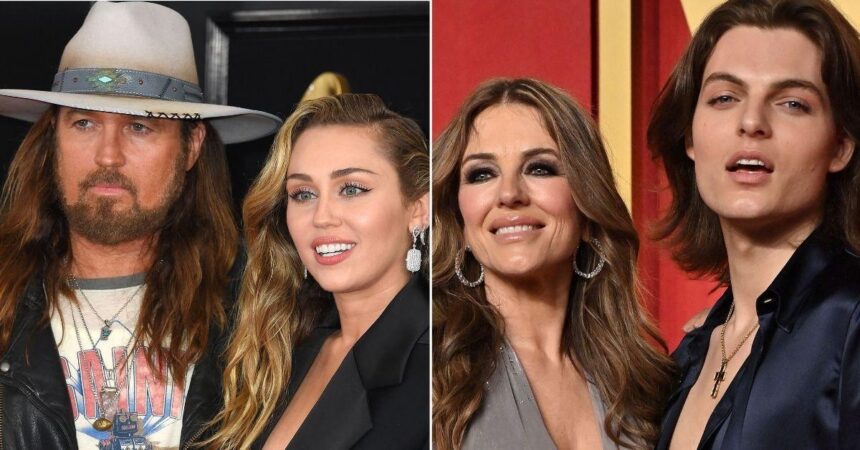 Billy Ray Cyrus And Elizabeth Hurley Have No Plans To “Unite Families’