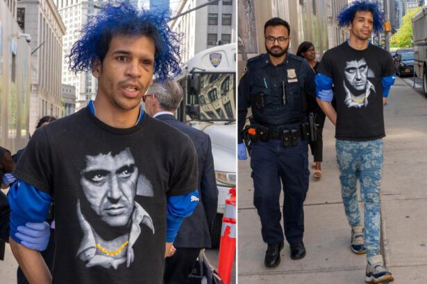 Blue-haired NYC perv with long rap sheet busted for groping women, including blind victim, setting another woman’s hair on fire: cops
