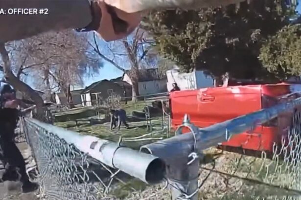 Body Cam Video Shows Idaho Cops Shooting Autistic Teen Armed With Knife