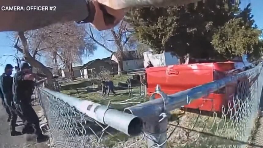 Body Cam Video Shows Idaho Cops Shooting Autistic Teen Armed With Knife