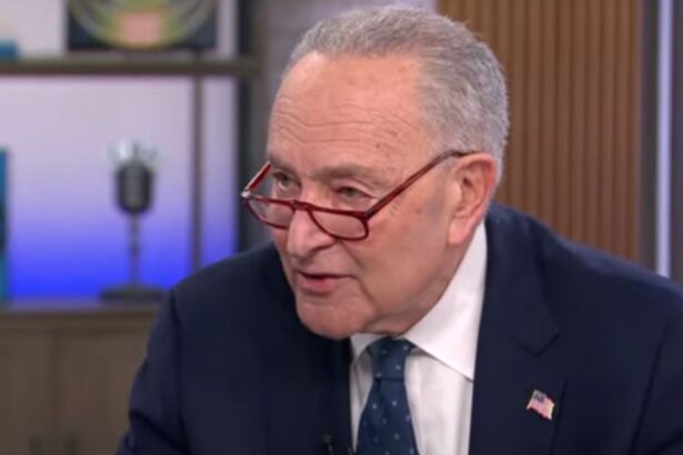 CNN Sounds the Alarm for Chuck Schumer as His Poll Numbers Crater Among Democrats: ‘Sirens Should be Going Off’ (VIDEO) |