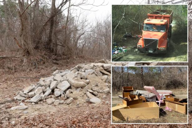 Cement head dumped tons of concrete in fire-ravaged Long Island pine barrens — and now he’s facing hard time: cops