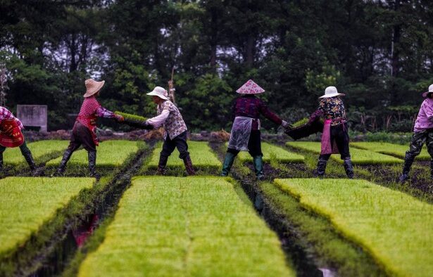 China says it can live without US farm and energy goods