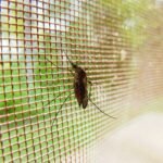 China’s malaria-free status offers crucial lessons for other areas