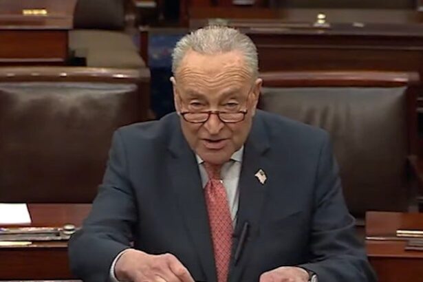 Chuck Schumer Blocks Trump US Attorney Nominees
