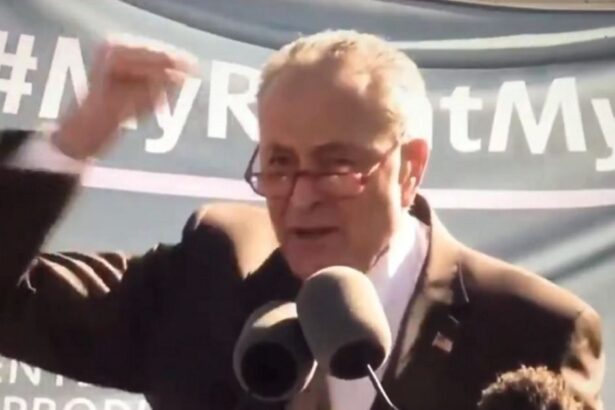 Chuck Schumer Claims Trump is Trying to Intimidate Judges – Forgets That He Threatened Members of SCOTUS in 2020 (VIDEO) |