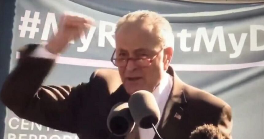 Chuck Schumer Claims Trump is Trying to Intimidate Judges – Forgets That He Threatened Members of SCOTUS in 2020 (VIDEO) |
