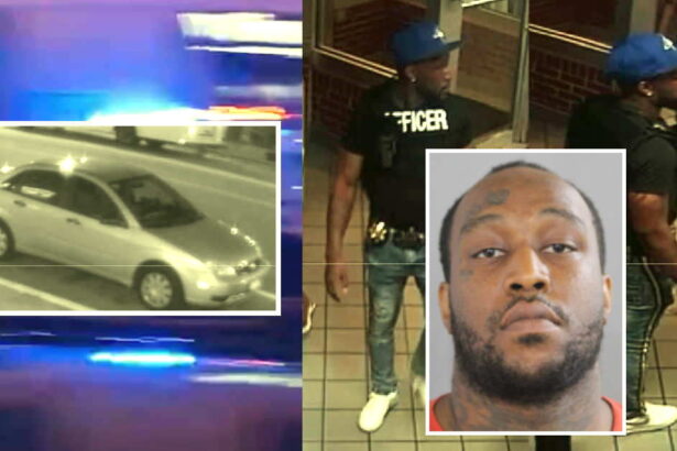 Cops identify gunman in South Loop diner shooting