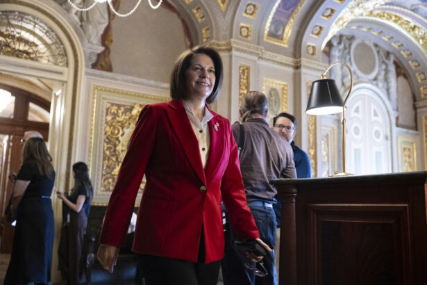 Cortez Masto taking over ‘ModSquad’ PAC, urges Dems to drop ‘purity tests’