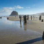 Could a Monster Earthquake Actually Sink Parts of the Pacific Northwest?