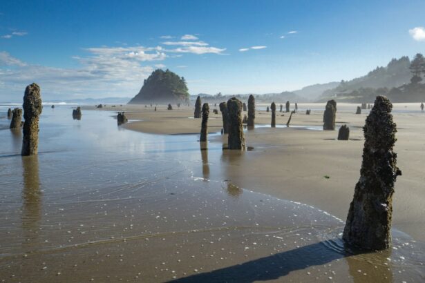 Could a Monster Earthquake Actually Sink Parts of the Pacific Northwest?