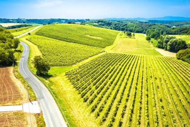 Croatia’s Badel 1862 acquires Agrolaguna, Vinarija Novigrad from Fortenova