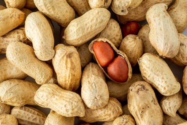 Daily doses of peanuts could desensitise adults with the allergy