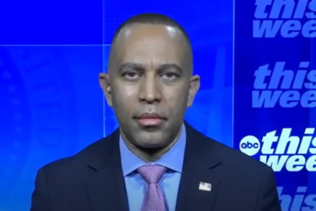 Democrat House Leader Hakeem Jeffries Openly Disses Strategy of DNC Vice Chair David Hogg (VIDEO) |