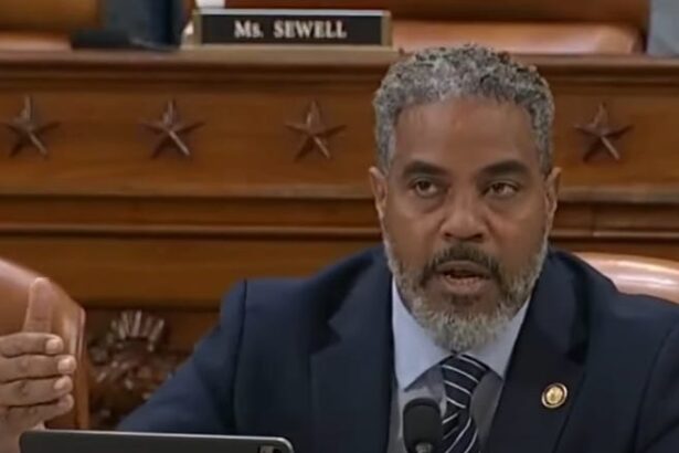 Democratic Congressman Destroys Trump’s Trade Representative On Tariff Chaos