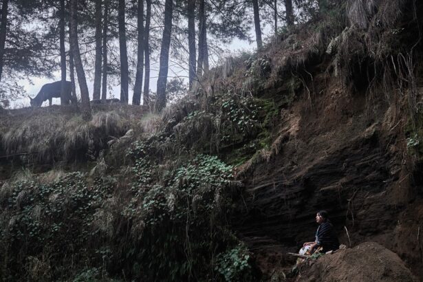 Earth Day 2025: Meet 4 Communities of Women Across Mexico Fighting to Preserve the Natural World Around Them