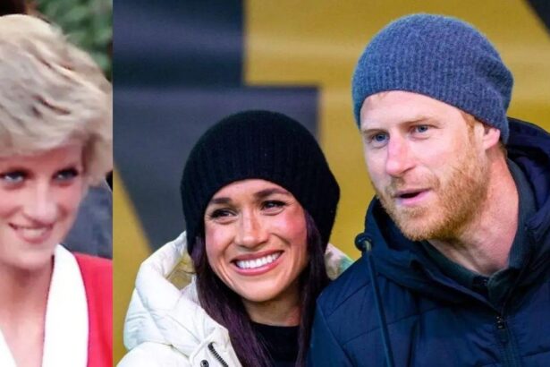 Diana’s Heart-Wrenching Warning She Would Have Given Prince Harry