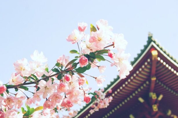 Discover Why China Tops The List Of Must-Visit Destinations